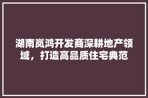 湖南岚鸿开发商深耕地产领域，打造高品质住宅典范