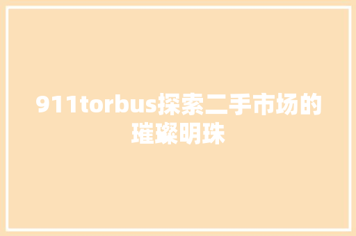 911torbus探索二手市场的璀璨明珠