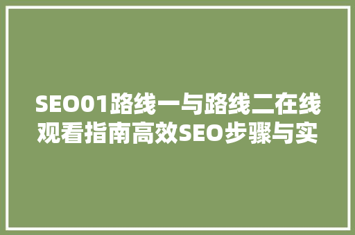 SEO01路线一与路线二在线观看指南高效SEO步骤与实战方法