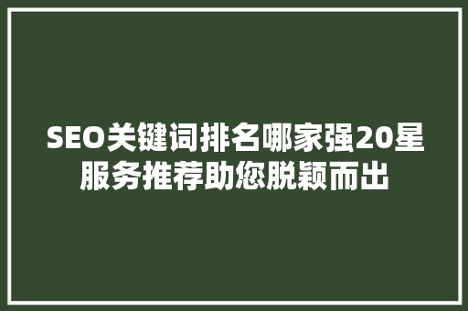 SEO关键词排名哪家强20星服务推荐助您脱颖而出
