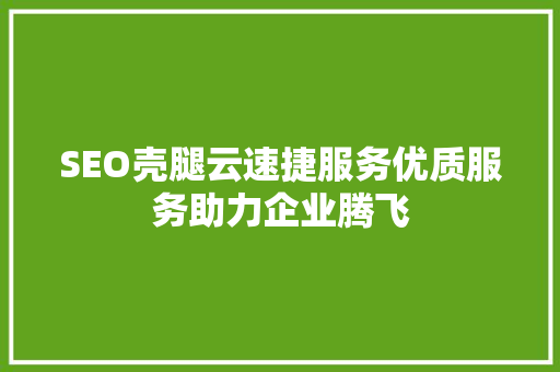SEO壳腿云速捷服务优质服务助力企业腾飞