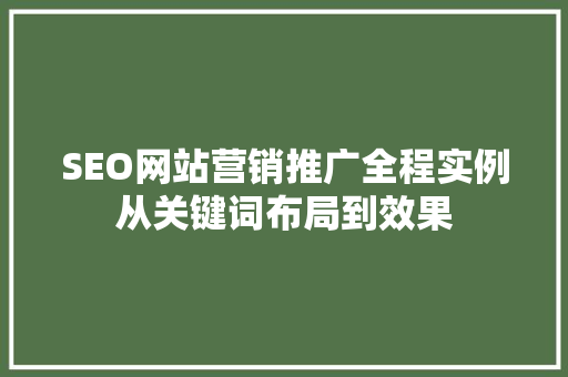SEO网站营销推广全程实例从关键词布局到效果