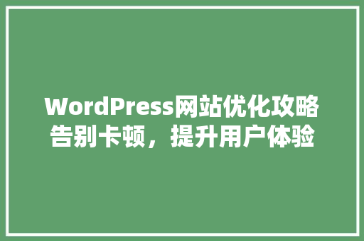 WordPress网站优化攻略告别卡顿，提升用户体验