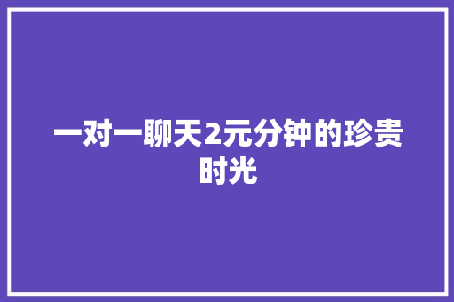 一对一聊天2元分钟的珍贵时光