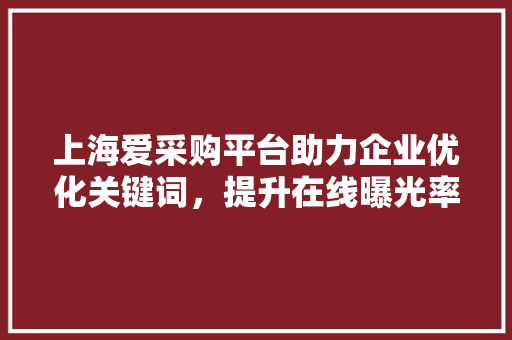 上海爱采购平台助力企业优化关键词，提升在线曝光率