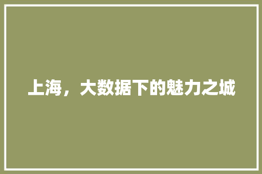 上海，大数据下的魅力之城