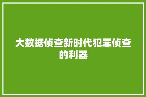 大数据侦查新时代犯罪侦查的利器  第1张
