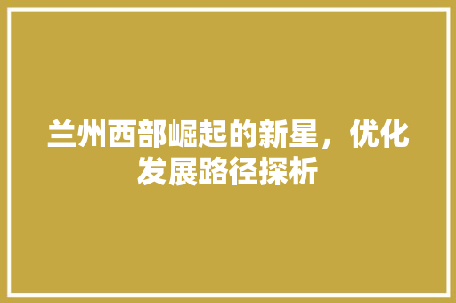 兰州西部崛起的新星，优化发展路径探析