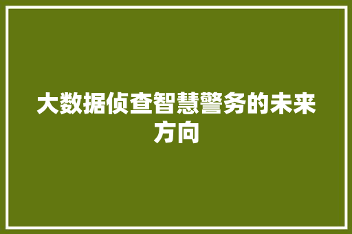 大数据侦查智慧警务的未来方向
