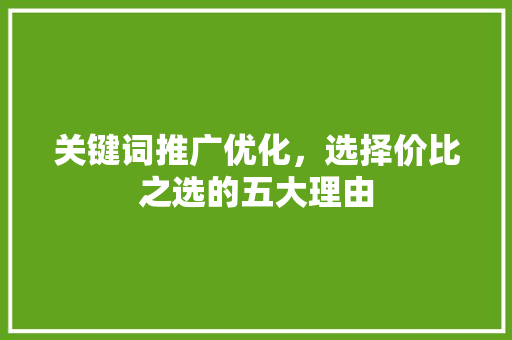 关键词推广优化，选择价比之选的五大理由  第1张