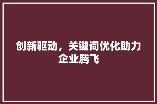 创新驱动，关键词优化助力企业腾飞