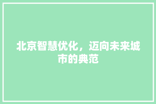 北京智慧优化，迈向未来城市的典范