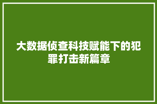 大数据侦查科技赋能下的犯罪打击新篇章  第1张