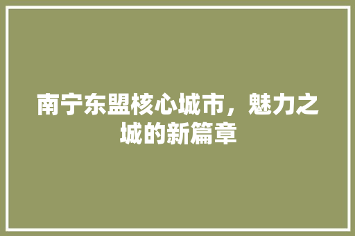 南宁东盟核心城市，魅力之城的新篇章