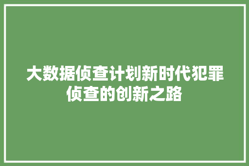 大数据侦查计划新时代犯罪侦查的创新之路
