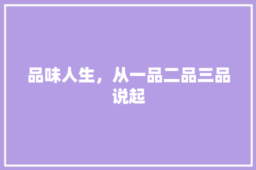 品味人生，从一品二品三品说起