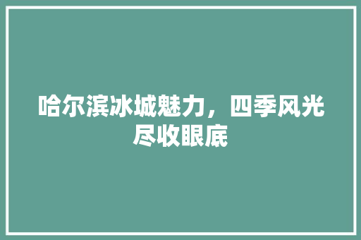 哈尔滨冰城魅力，四季风光尽收眼底