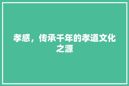 孝感，传承千年的孝道文化之源
