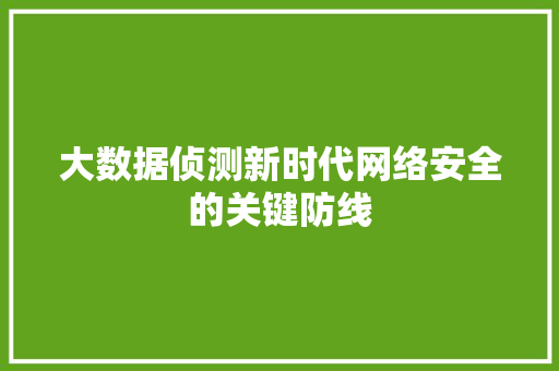 大数据侦测新时代网络安全的关键防线