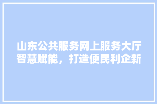 山东公共服务网上服务大厅智慧赋能，打造便民利企新平台