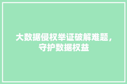 大数据侵权举证破解难题，守护数据权益