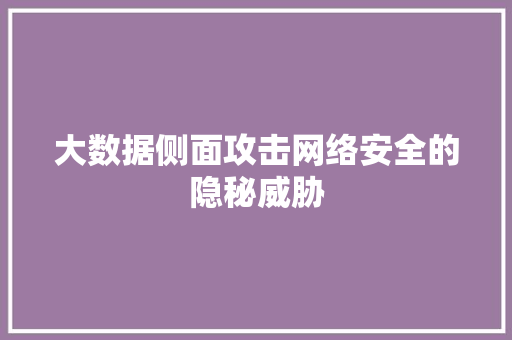 大数据侧面攻击网络安全的隐秘威胁  第1张