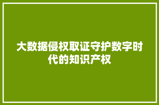 大数据侵权取证守护数字时代的知识产权