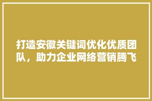 打造安徽关键词优化优质团队，助力企业网络营销腾飞