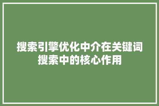 搜索引擎优化中介在关键词搜索中的核心作用