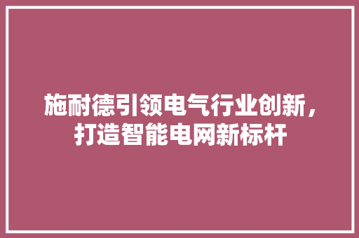 施耐德引领电气行业创新，打造智能电网新标杆