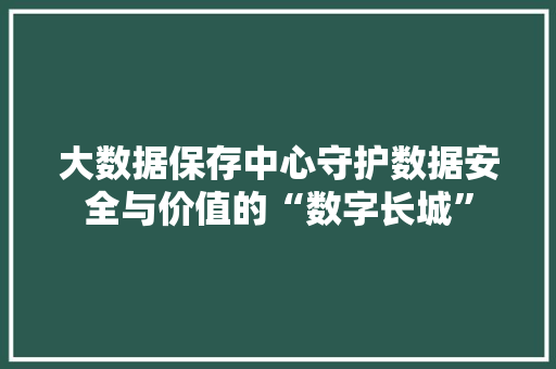 大数据保存中心守护数据安全与价值的“数字长城”  第1张
