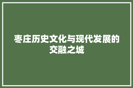 枣庄历史文化与现代发展的交融之城