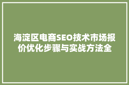 海淀区电商SEO技术市场报价优化步骤与实战方法全
