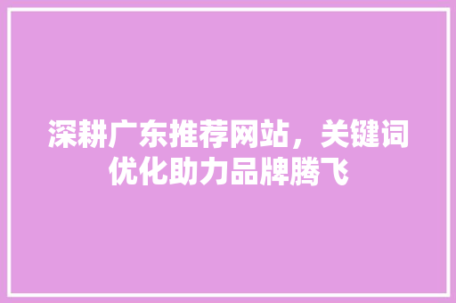 深耕广东推荐网站，关键词优化助力品牌腾飞