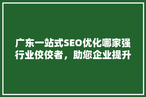 广东一站式SEO优化哪家强行业佼佼者，助您企业提升在线竞争力