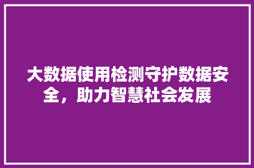 大数据使用检测守护数据安全，助力智慧社会发展  第1张