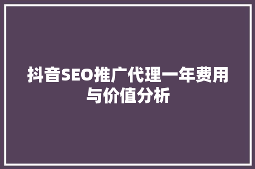 抖音SEO推广代理一年费用与价值分析