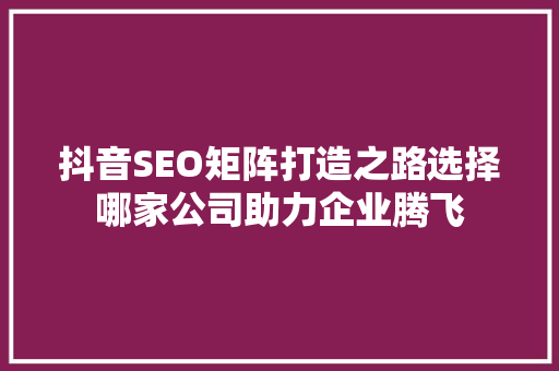 抖音SEO矩阵打造之路选择哪家公司助力企业腾飞