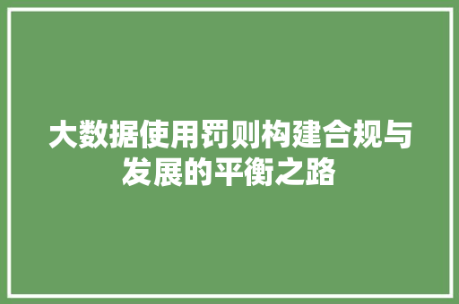 大数据使用罚则构建合规与发展的平衡之路