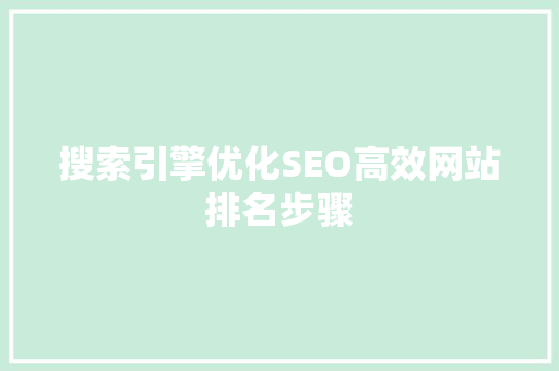 搜索引擎优化SEO高效网站排名步骤  第1张