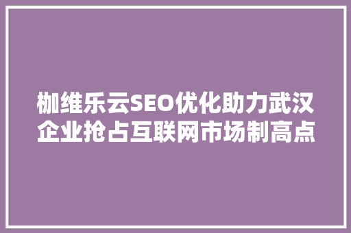 枷维乐云SEO优化助力武汉企业抢占互联网市场制高点