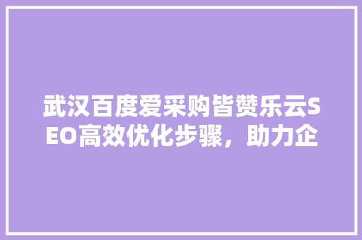 武汉百度爱采购皆赞乐云SEO高效优化步骤，助力企业腾飞