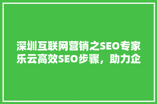 深圳互联网营销之SEO专家乐云高效SEO步骤，助力企业腾飞