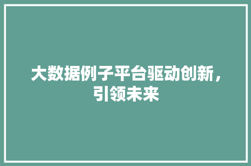 大数据例子平台驱动创新，引领未来