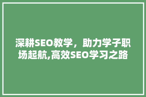 深耕SEO教学，助力学子职场起航,高效SEO学习之路