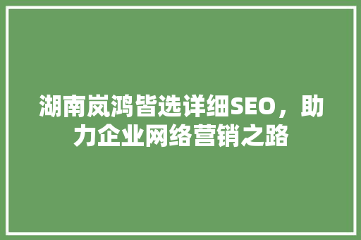 湖南岚鸿皆选详细SEO，助力企业网络营销之路