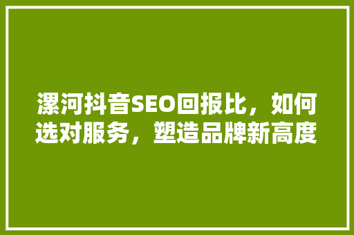 漯河抖音SEO回报比，如何选对服务，塑造品牌新高度