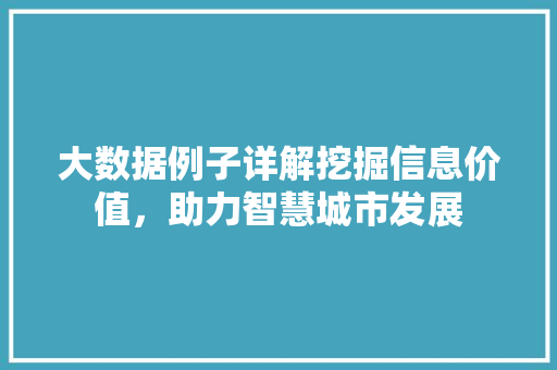 大数据例子详解挖掘信息价值，助力智慧城市发展