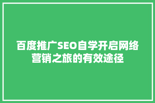 百度推广SEO自学开启网络营销之旅的有效途径