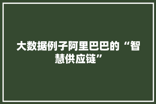 大数据例子阿里巴巴的“智慧供应链”